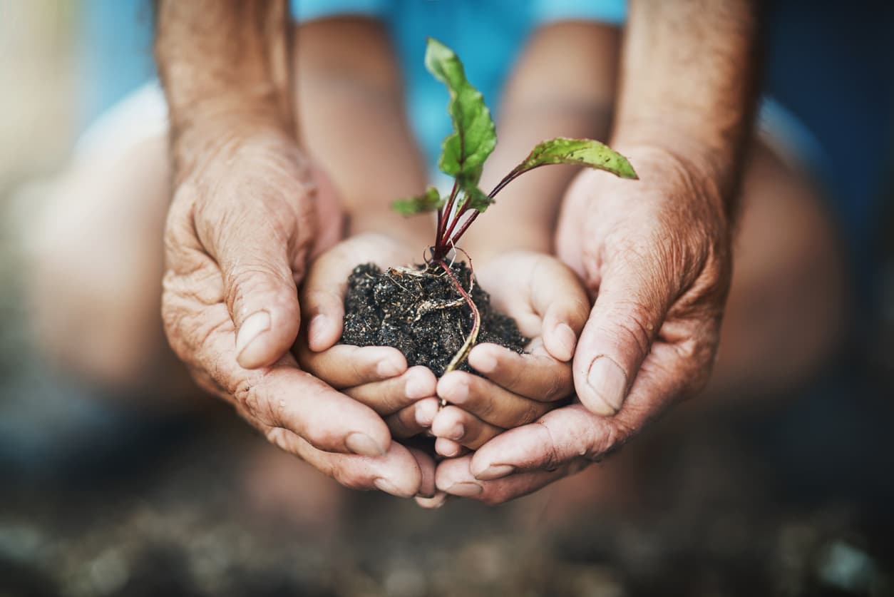 A parent holds his child’s hands in his which have a plant growing to signify growth mindset